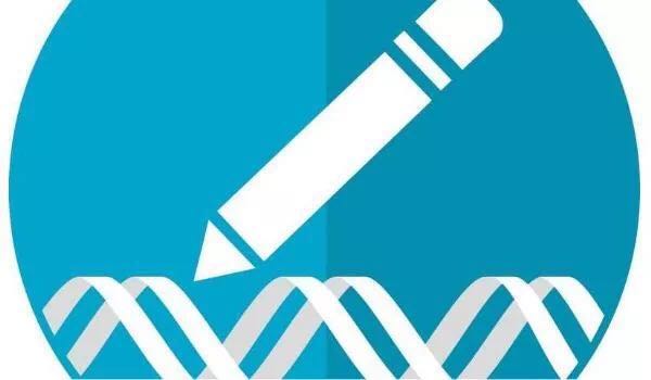 科学家改进基因编辑技术CRISPR 有望加速细胞基因组的编辑