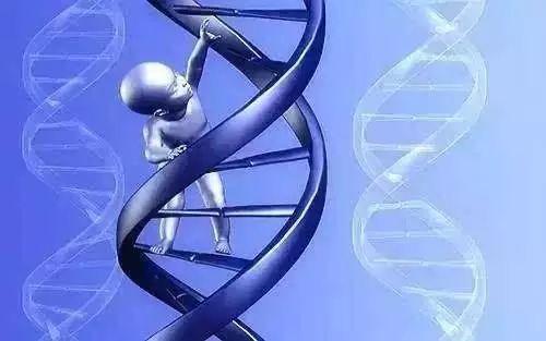 健康白皮书|一文真正读懂基因检测对我们的意义！